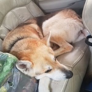 Meet your Posher, Leandra